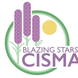 Blazing Stars #1 CISMA